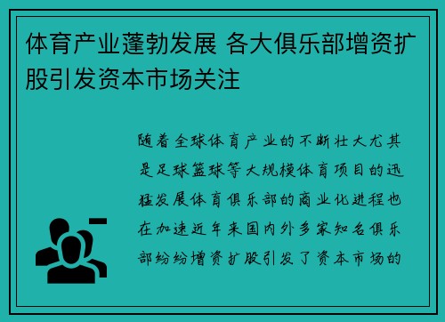 体育产业蓬勃发展 各大俱乐部增资扩股引发资本市场关注