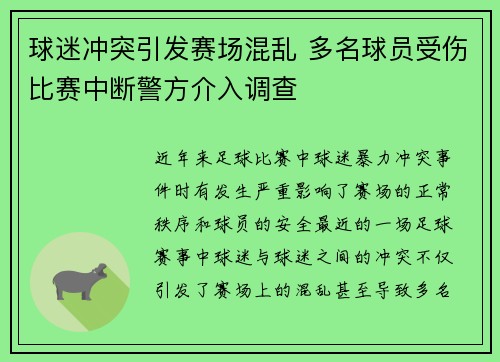 球迷冲突引发赛场混乱 多名球员受伤比赛中断警方介入调查