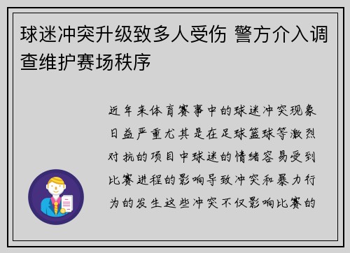 球迷冲突升级致多人受伤 警方介入调查维护赛场秩序